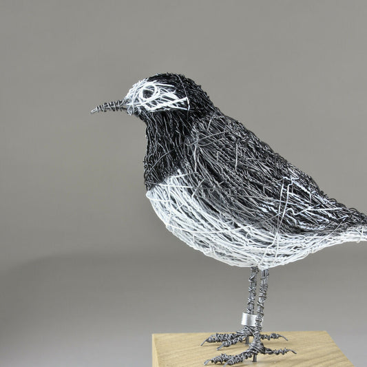 Emian | Pied Wagtail Wire Bird Sculpture