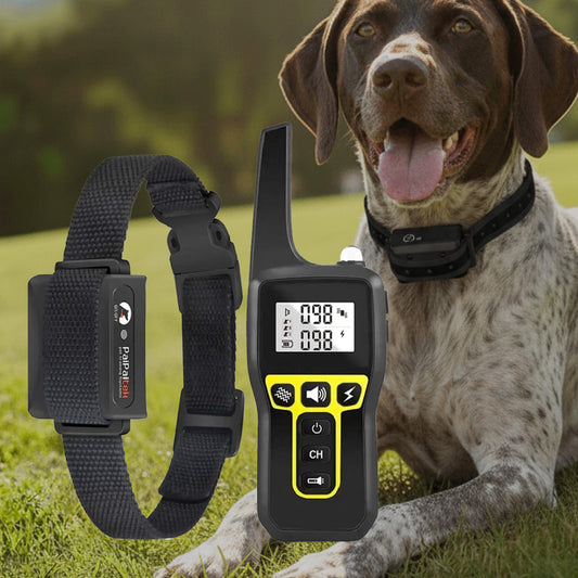 Amtn Club | 1000m Waterproof Dog Training Collar – Rechargeable, Remote Control & Adjustable for Small, Medium, and Large Dogs