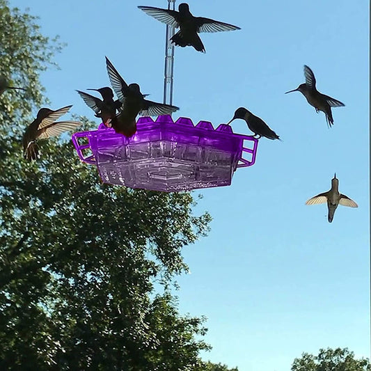 Koadclo | Ant-Proof Hummingbird Feeder with Outdoor Hanging Perch