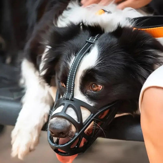 Koadclo | SafeBark Dog Muzzle